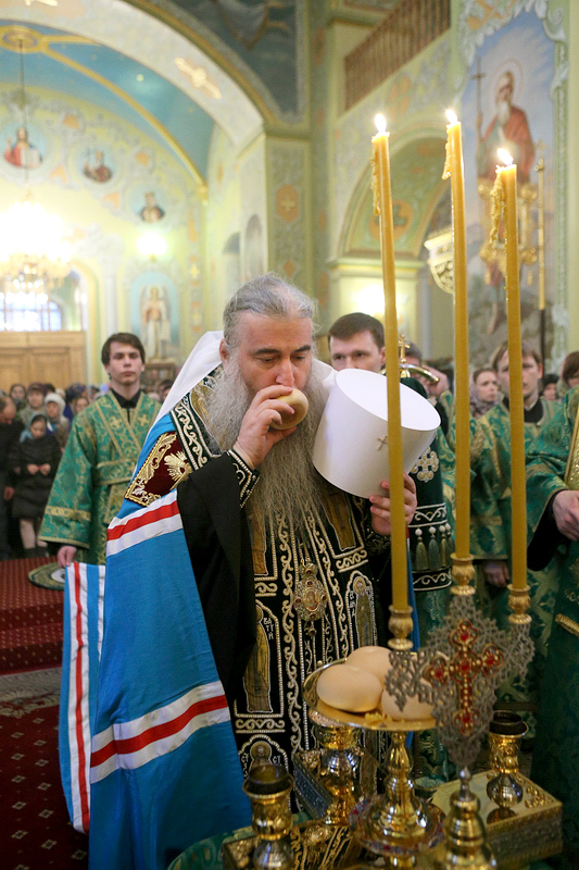 021_2015_4_5_8_47_36_555268803