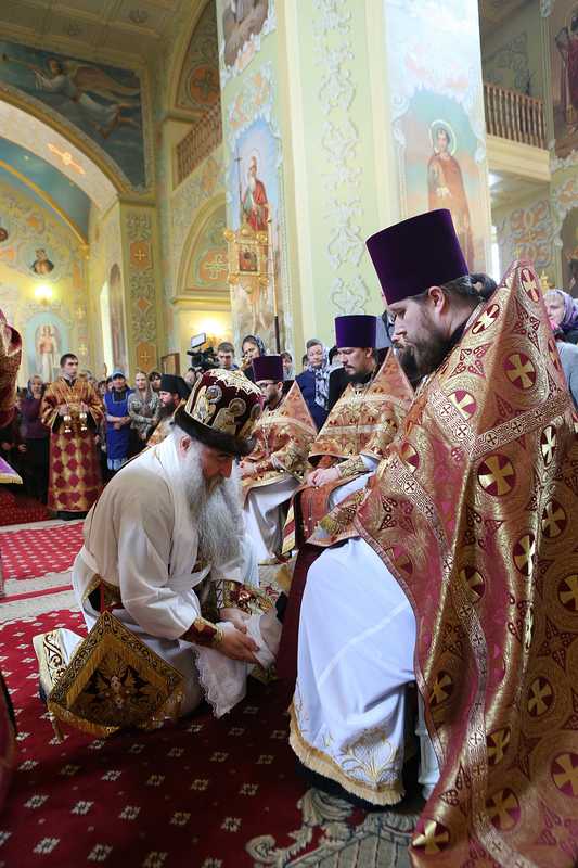 097_2015_4_9_22_20_19_325768823