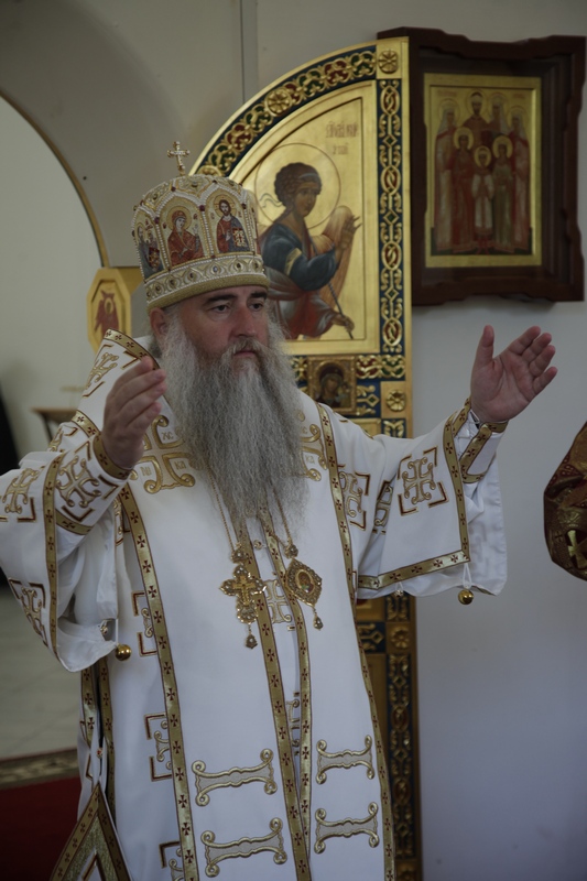 013_2015_8_6_17_27_28_1240140402