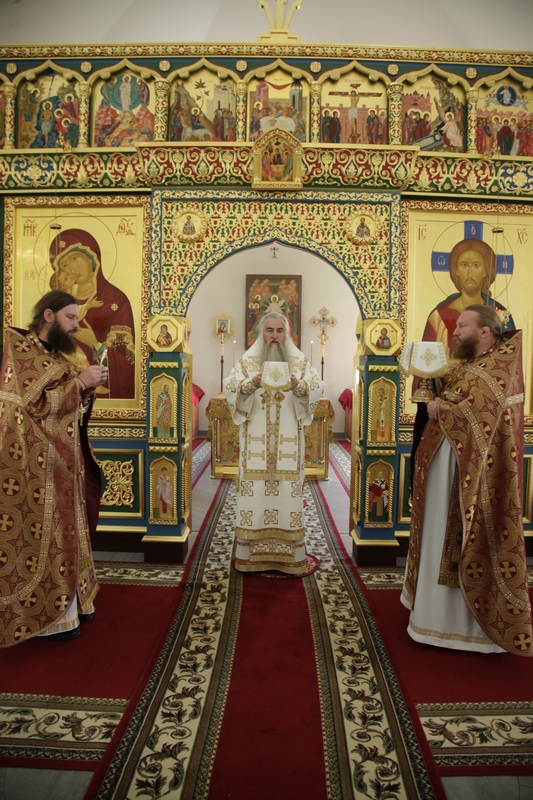 014_2015_8_6_17_27_28_1017577388