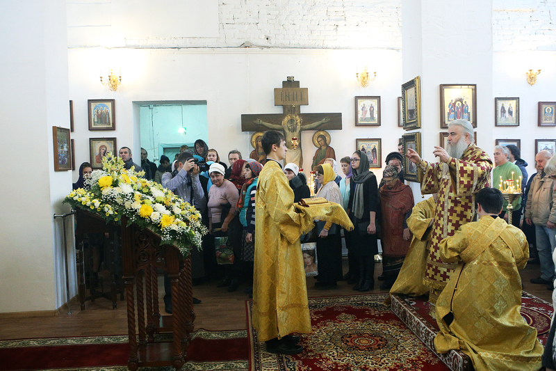 008_2015_12_6_23_7_44_293083635