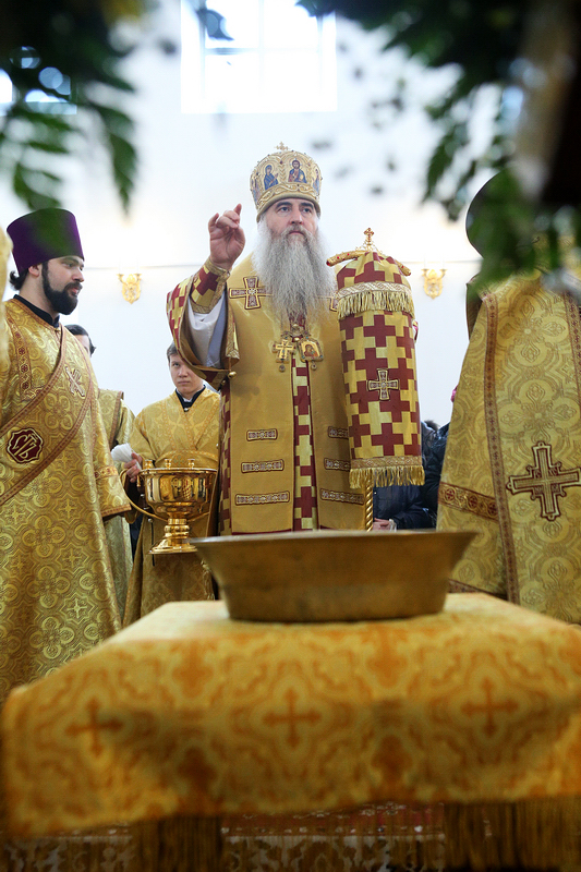 069_2015_12_6_23_8_26_955449383