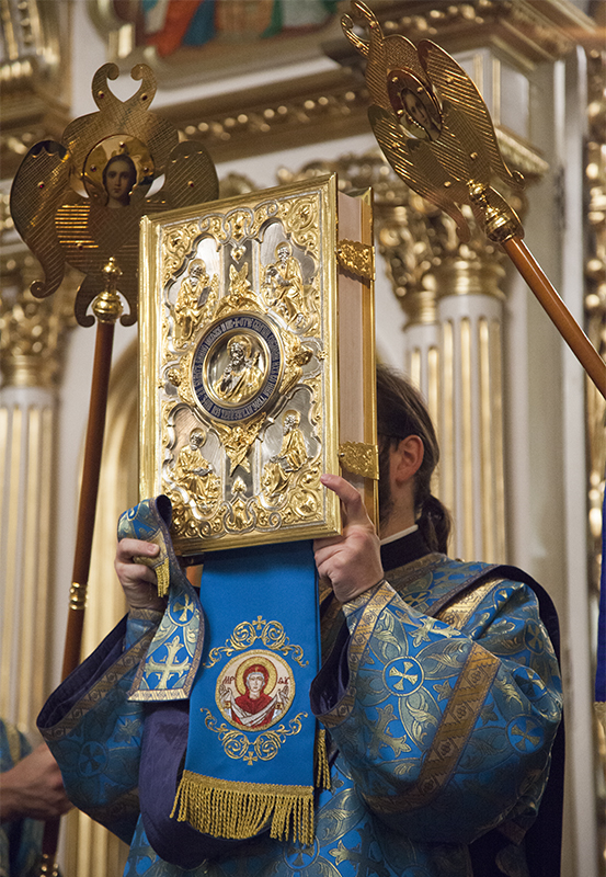 036_2017_10_14_7_20_46_480850098