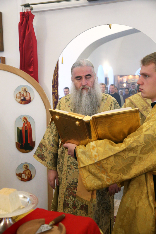 043_2017_12_17_19_58_3_1448383106